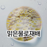 베스트 기획전/이벤트 이미지